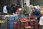 پرتقال تامسون ارزان ترین میوه بازار کشور