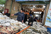 مصرف ماهی ۵۰ درصد کاهش پیدا کرد