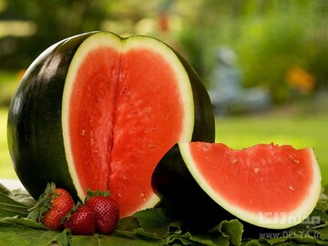 میوه های آبرسان برای بالا نگه داشتن سطح انرژی در تابستان