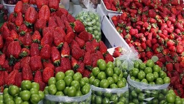 کاهش ۲۰ درصدی قیمت میوه و صیفی