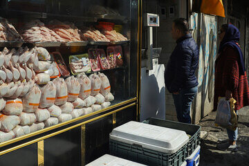حداکثر نیاز روزانه مرغ در تهران هزار تن است