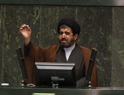 انتقاد موسوی لارگانی از مصوبات مجلس در حوزه کشاورزی