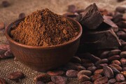۱۱ فواید تغذیه ای و سلامتی پودر کاکائو