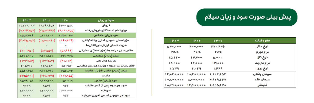 سهم سیلام را برای بلند مدت بخریم؟