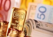 شیب افزایش قیمت طلا و ارز تند شد