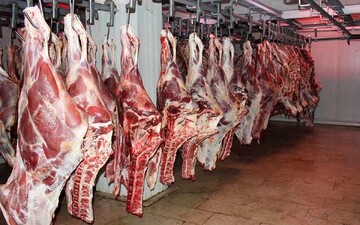 روزانه ۱۲۰ تن گوشت قرمز توزیع می‌شود