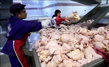 برچیده شدن صف‌های فروش مرغ

