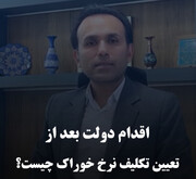 اقدام دولت بعد از تعیین تکلیف نرخ خوراک چیست؟