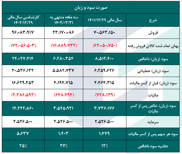 بررسی ریسک سرمایه گذاری بر روی پکرمان 