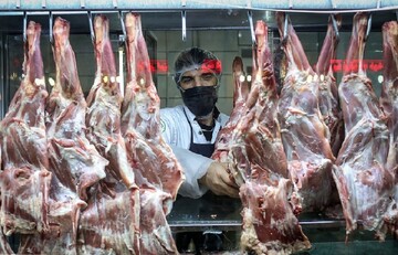 عرضه گسترده گوشت در فروشگاه‌های زنجیره‌ای
