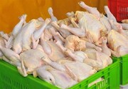 نمی‌توان انتظار داشت مرغ در همه جا با یک قیمت به فروش برسد