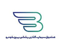 «بخشی بهین خودرو» در صدر