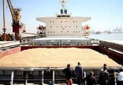 واردات گندم ۳.۱ میلیون تن کاهش یافت
