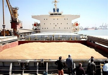 واردات گندم ۳.۱ میلیون تن کاهش یافت
