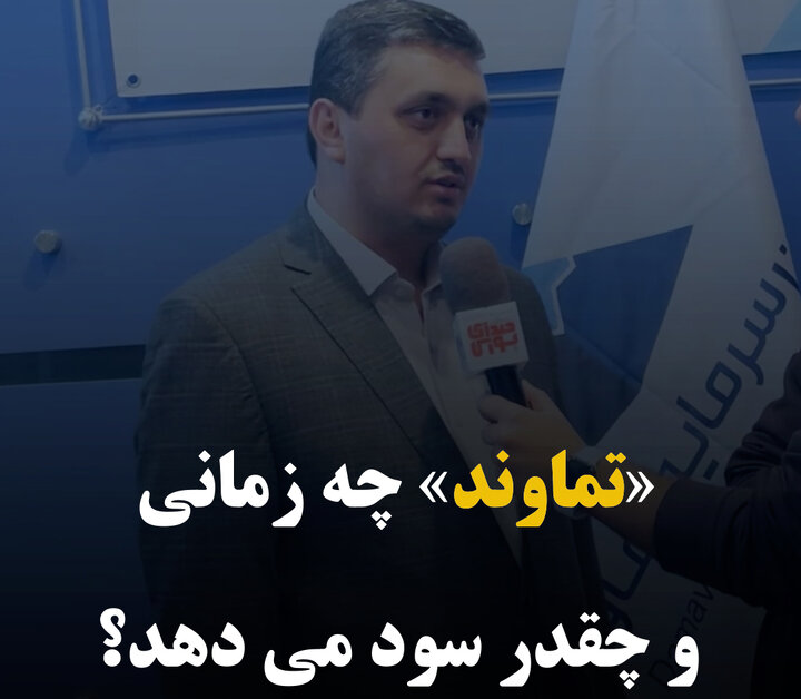 «تماوند» چه زمانی و چقدر سود می‌دهد؟