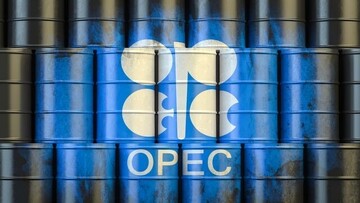 اوپک مقصر ریزش قیمت نفت را معرفی کرد