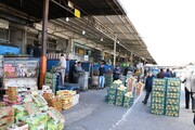 ذخیره‌سازی ۲۰ هزار تنی میوه شب عید در کشور
