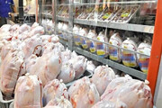 صادرات ماهانه ۱۵ تا ۲۰ هزار تن مرغ به بازارهای هدف