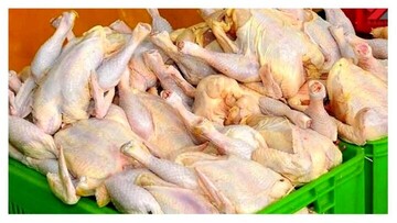 گوشت مرغ در میادین تره بار ۱۸ درصد ارزان‌تر عرضه می‌شود