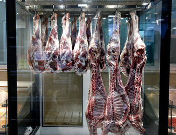 عرضه گوشت‌ وارداتی با قیمت ۲۳۰ تا ۳۷۵ هزارتومان