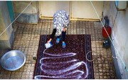 تهرانی‌ها ایام خانه‌تکانی عید چقدر آب مصرف می‌کنند؟