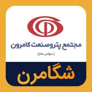 ازسرگیری فعالیت تولیدی شگامرون