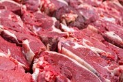 عرضه گوشت ۲۰۰ تا ۳۷۰ هزار تومانی در میادین و فروشگاه‌ها