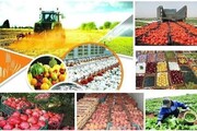 تولید و تنظیم بازار محصولات کشاورزی پیگیری می‌شود
