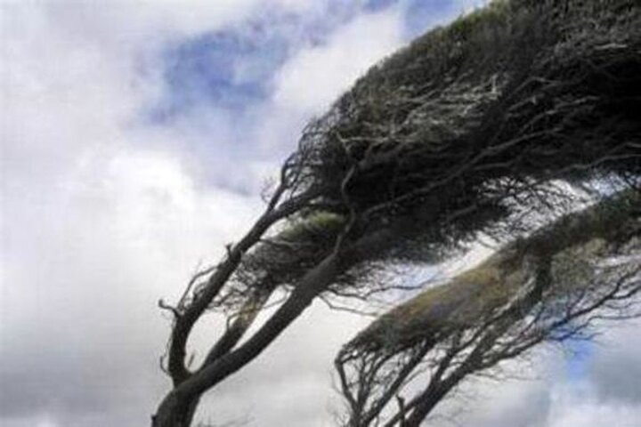 هشدار! وزش باد شدید و گردوخاک در این استان ها