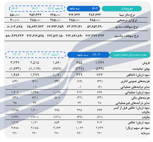 شاملا برای ۱۴۰۴ چه عملکردی را پیش بینی کرد؟