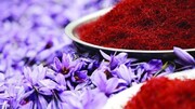 ۱۳۱ کیلوگرم طلای سرخ در بازار آتی بورس کالا دادوستد شد