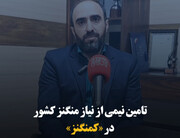 تأمین نیمی از نیاز منگنز کشور در «کمنگنز»