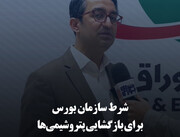 شرط سازمان بورس برای بازگشایی پتروشیمی‌ها