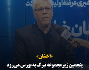 «اخشان» پنجمین زیرمجموعه تبرک به بورس می‌رود