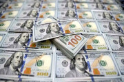 قیمت دلار و انواع ارز در بازار امروز ۷ فروردین