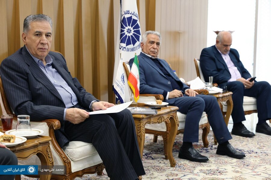 مدیریت دولتی و قیمت‌گذاری دستوری،به صنعت خودرو آسیب زده است