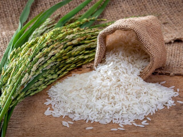 تقلب در بازار برنج؛ پاکستانی‌ به جای ایرانی در سفره‌ها!