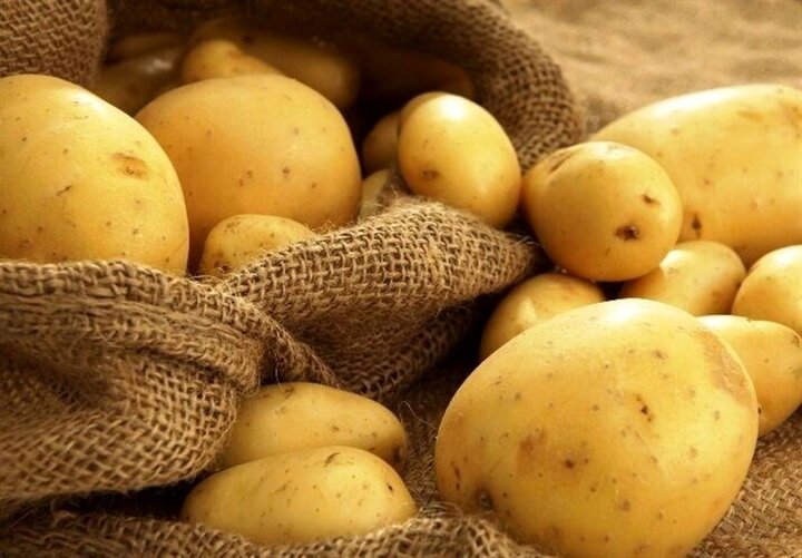 سیب‌زمینی به اوج قیمت رسید؛ افزایش چهار برابری نسبت به دلار!