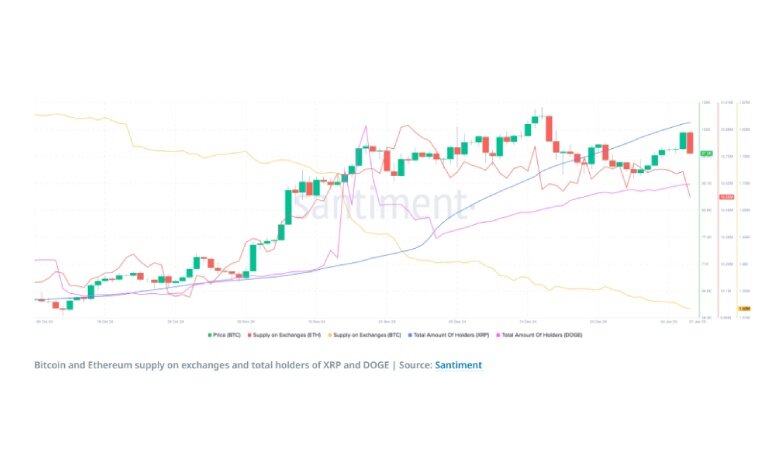 آیا طوفان آلتکوینها در راه است؟ بررسی نشانههای مهم