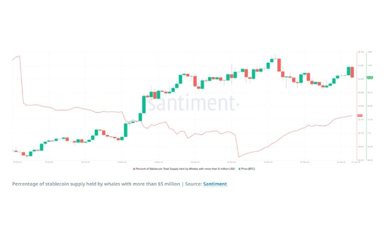 آیا طوفان آلتکوینها در راه است؟ بررسی نشانههای مهم