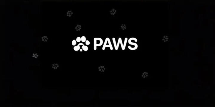 توکن ایردراپ پروژه PAWS لیست شد