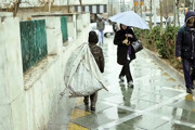 جزئیات جدید از بیمه رایگان کودکان کار