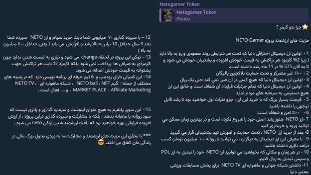 نتو گیمر (Neto Gamer) چیست و چرا مشکوک به کلاهبرداری است؟