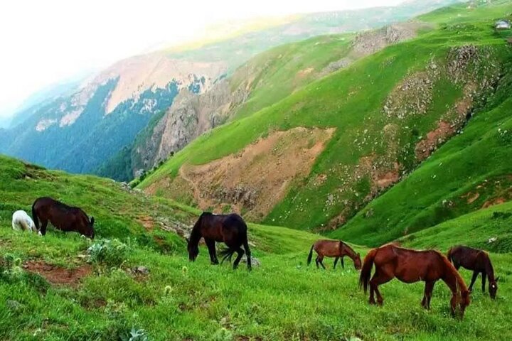 گیلان و کوچ بهاری گیلان و کوچ بهاری