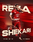 رونمایی پرسپولیس از چهارمین خرید؛ شکاری هم قرمزپوش شد