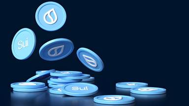 سویی یا سولانا کدام یک آینده بلاک چین است؟