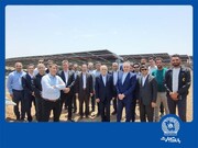 بانک تجارت حامی توسعه استفاده از انرژی‌های تجدیدپذیر و پاک است