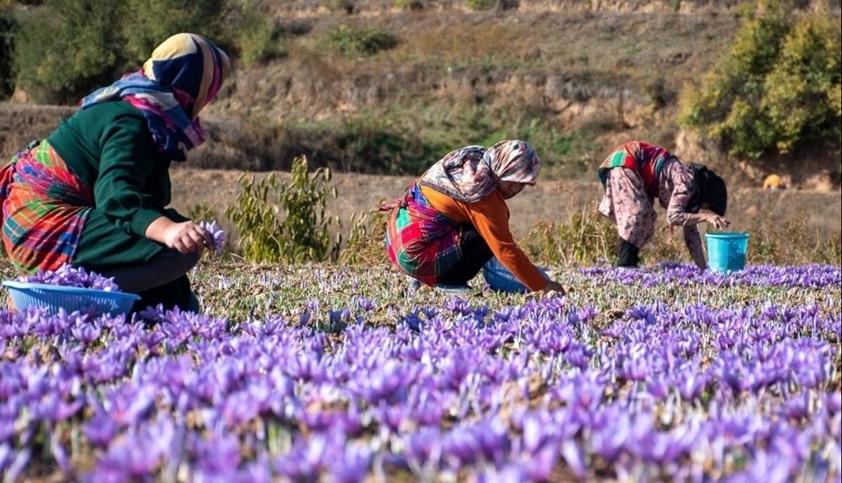 در بازار مشتقه و مالی چه گذشت؟