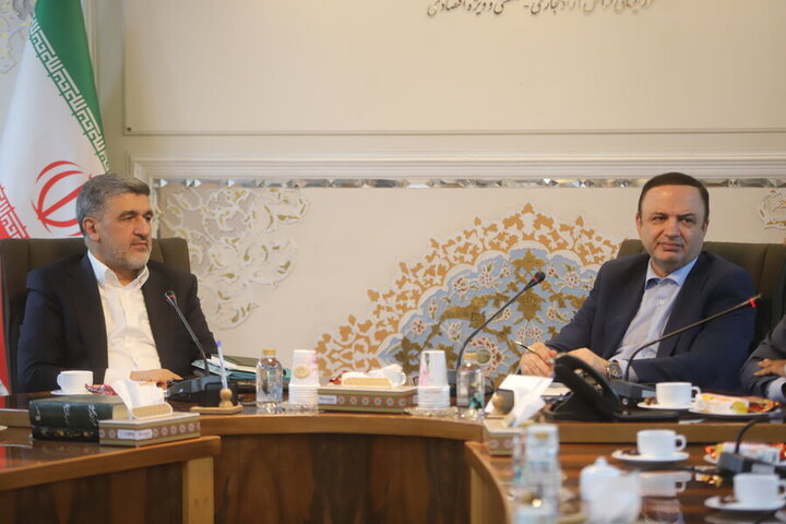 تاکید بر لزوم حاکم شدن یک ساختار حرفه‌ای سهام‌داری در ترکیب بورس بین‌الملل