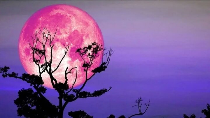 زمان دقیق ظهور ماه صورتی